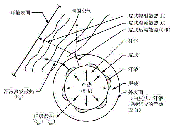 人体与环境的热交换示意图