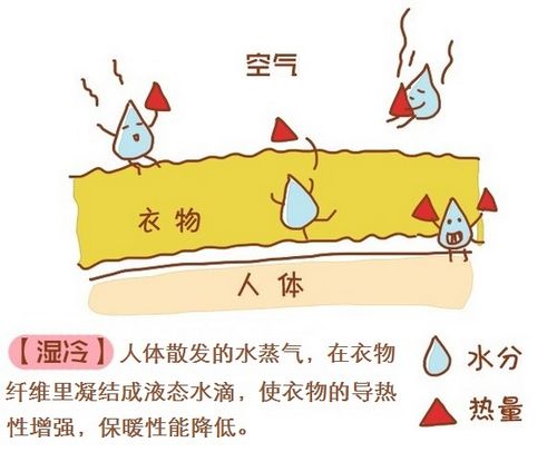 为什么南方冬天比北方更“湿冷”