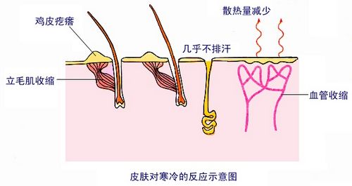 为什么南方冬天比北方更“湿冷”