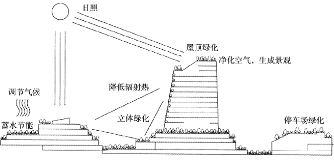 屋顶绿化 净化空气