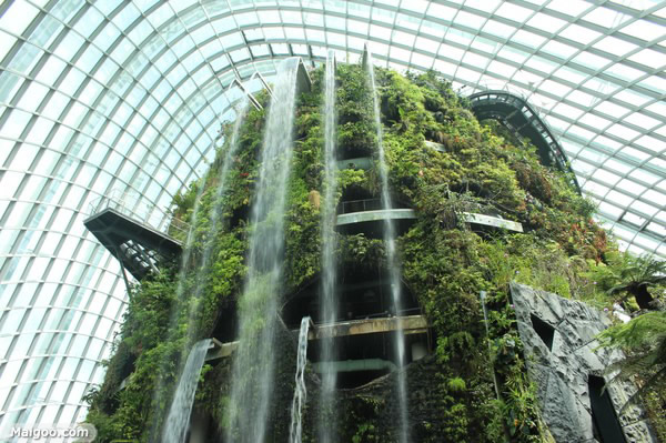 屋顶花园 新加坡海湾花园（Gardens by the Bay）